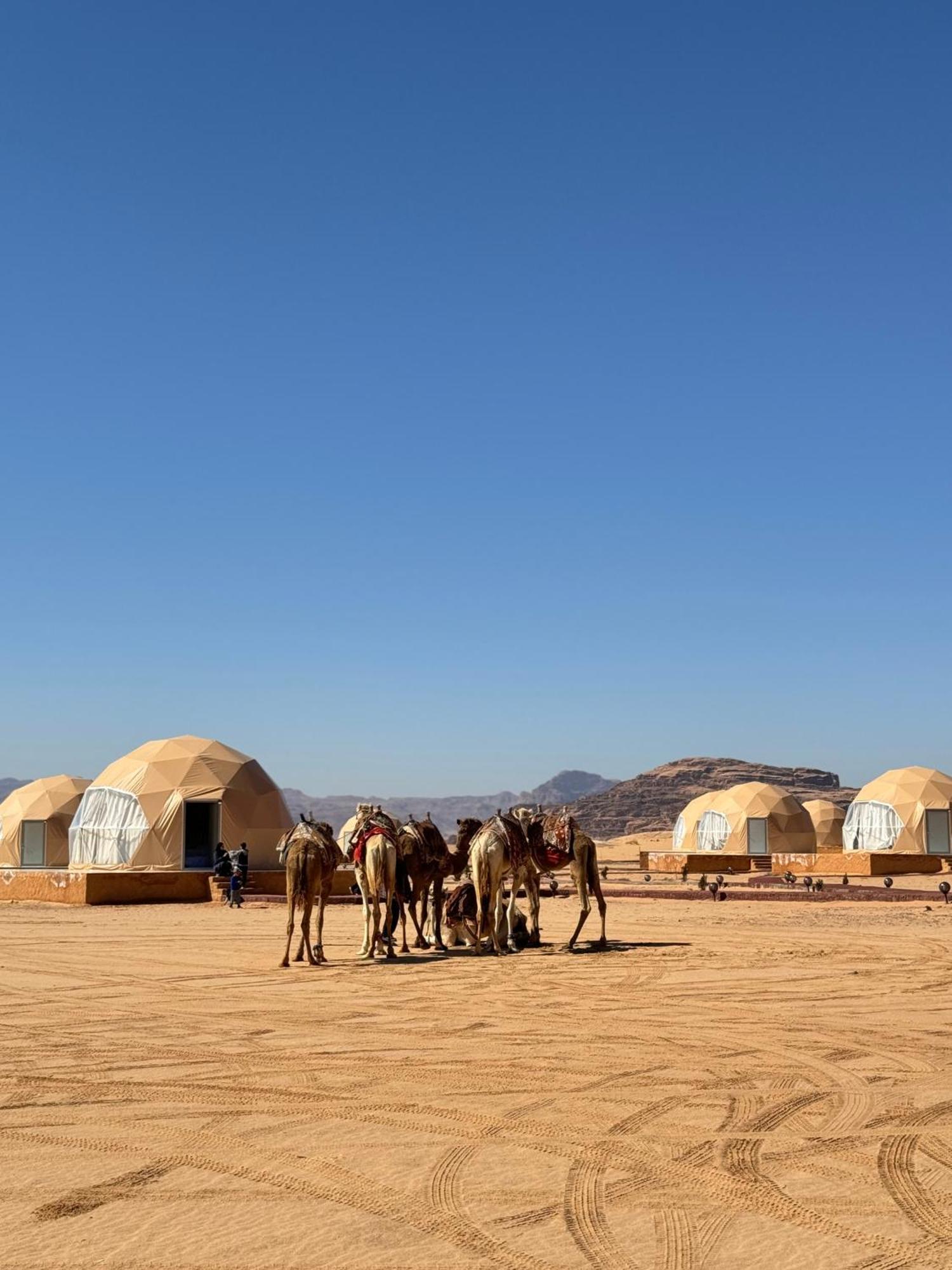 Wadi Rum Anwar Luxury Camp Экстерьер фото